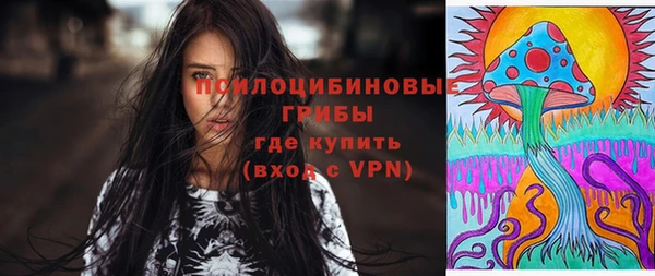 гидропоника Нягань