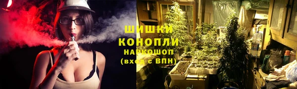 гидропоника Нягань