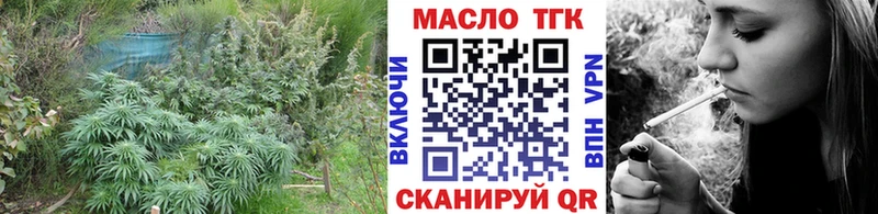 дарнет шоп  Билибино  ТГК Wax 