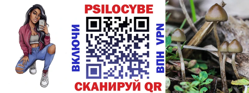 Галлюциногенные грибы MAGIC MUSHROOMS Билибино