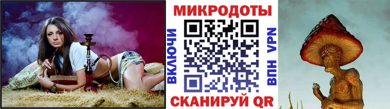 darknet наркотические препараты  Билибино  Галлюциногенные грибы прущие грибы 